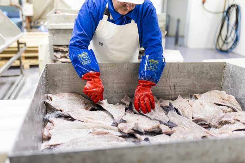 Arbeidsplasser i nord norge fiskeri 2 kunnskapsbanken for nord norge 2023